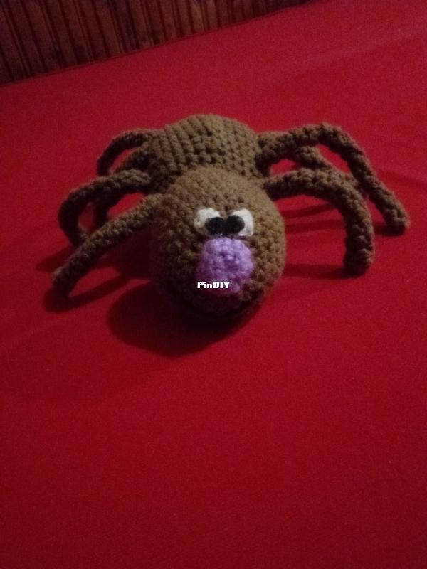 Spider
