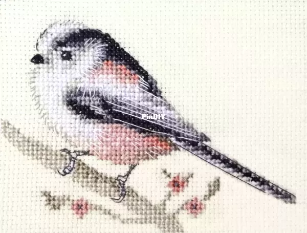 LONG TAILED TIT Garden Bird ~ FIDO STUDIO.webp