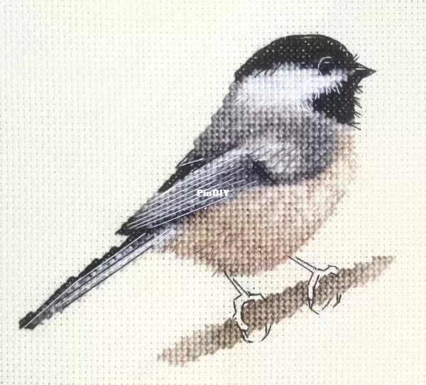 Fido Stitch - Black capped Chicadee.webp