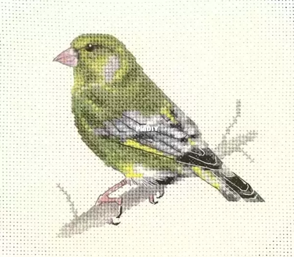 Fido Stitch - Greenfinch.webp