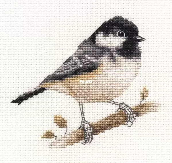 Fido Stitch - Coal Tit.webp
