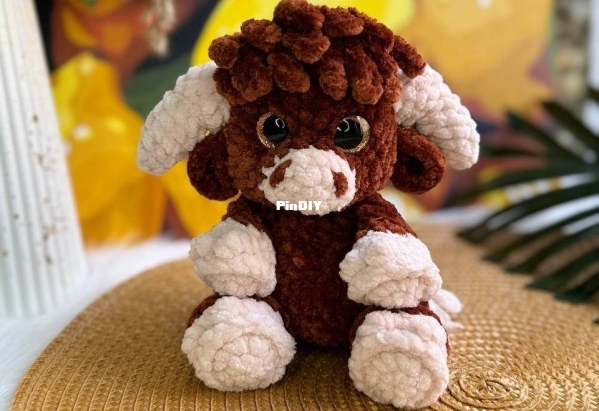 Highland Cow.jpg