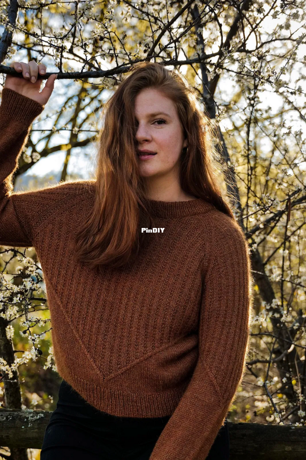 Screenshot 2026-01-08 at 08-18-33 Ravelry Cosmo Sweater (Adult) by Simone Ryan.png