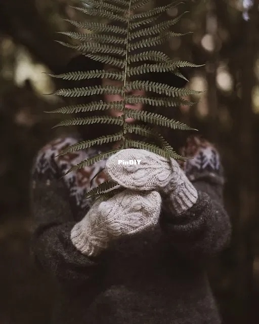 Moorland mittens by Tania Barley .jpeg