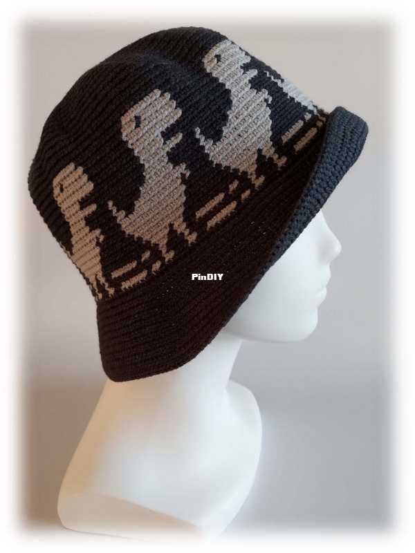 Fast Life Design - Dino Bucket Hat.jpg