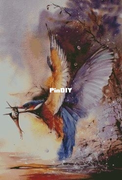 pic.jpg