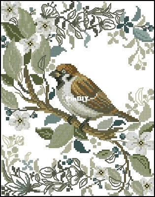 Bird.jpg