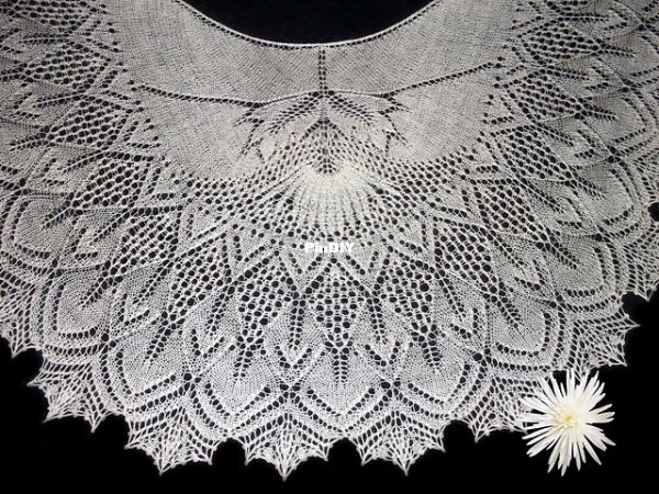 Shawl