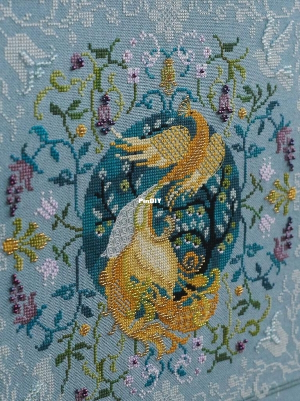 Paradise Bird-o (2).jpg