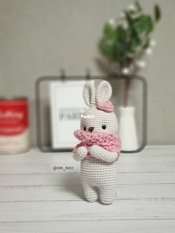 MINI BUNNY (1).jpeg