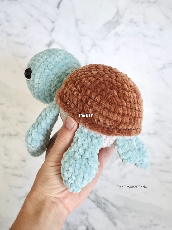 MarlotheTurtle-back.jpg