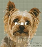 minisilkyterrier_LRG.jpg
