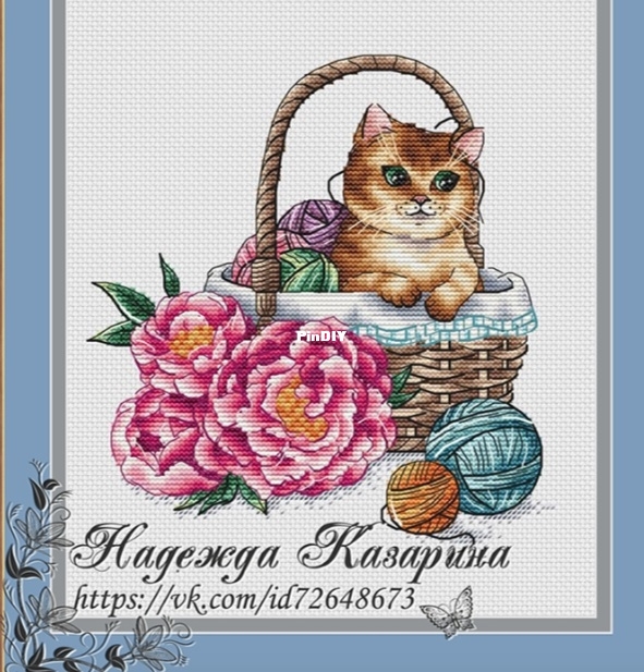 Cat in basket.jpg