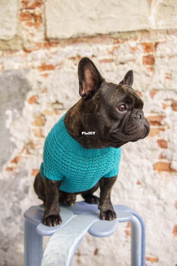 Woofy_Waffle_Sweater_3.jpeg