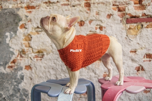 Woofy_Waffle_Sweater_18.jpeg