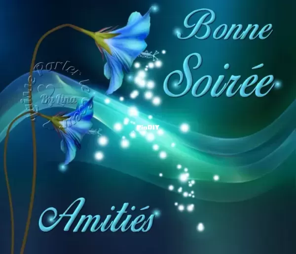 bonne-soiree_137.webp