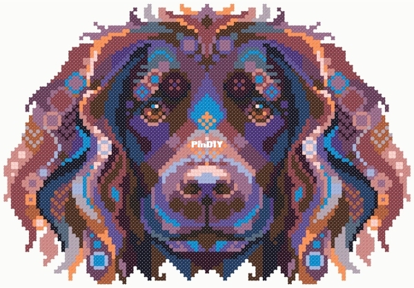 CS1362 - Spaniel Boykin.jpg