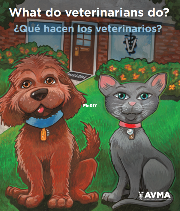 Captura de pantalla 2026-03-04 154627.png