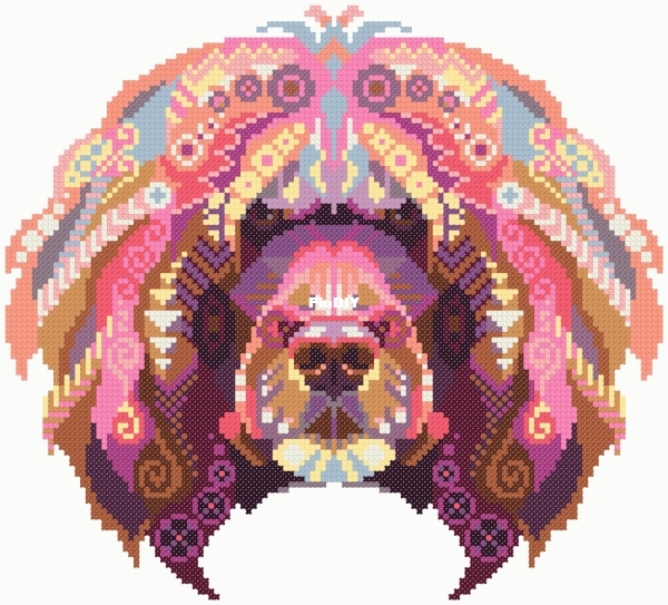 CS783 - Portuguese Water Dog.jpg