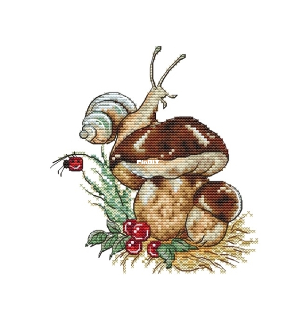 Boletus.jpg
