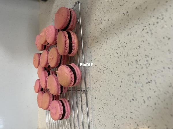 IMG_3625.jpeg