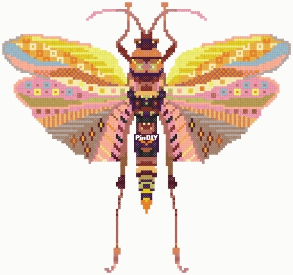 CS652 - Mandala Phymateus Saxosus.jpg