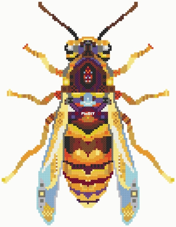 CS648 - Wasp.jpg