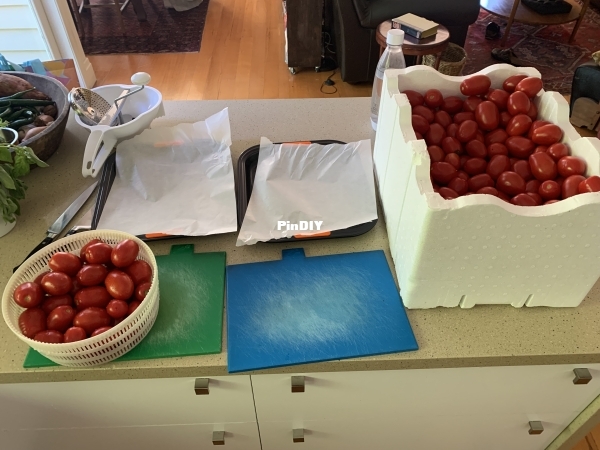 IMG_1616.jpeg
