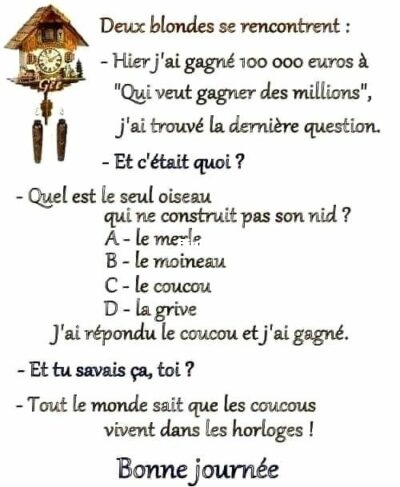 Humour-Blondes-e1741422549754.jpeg