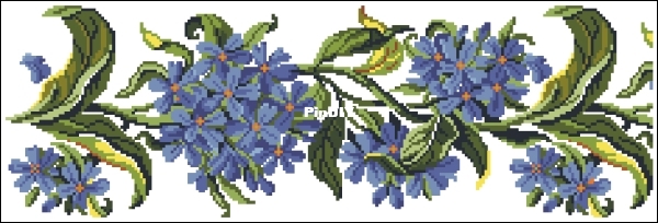 cornflower.jpg