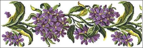 violet.jpg