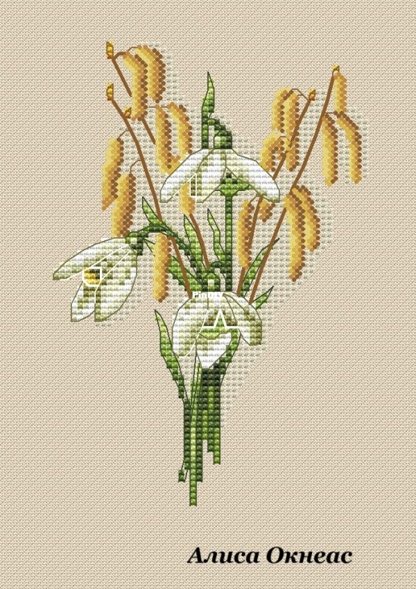Snowdrops and catkins.jpg