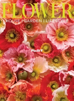 Flower-Magazine-May-June-2026.webp
