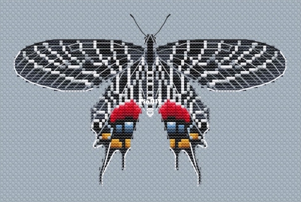 Butterfly Bhutanitis lidderdalii by Serafima Abramova.jpg