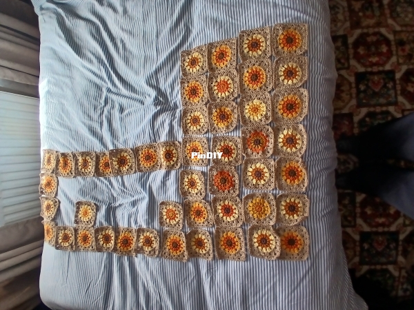 1000048424.jpg