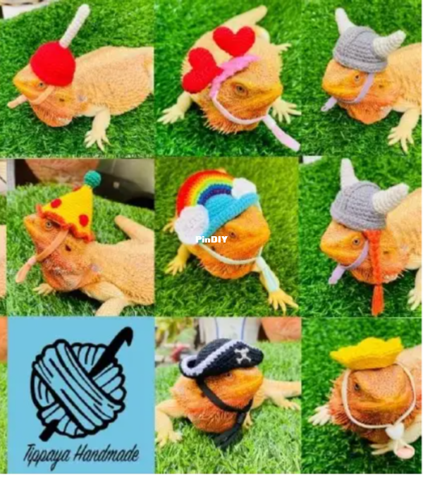 Screenshot_2026-05-15-17-02-54-413_com.android.chrome.png