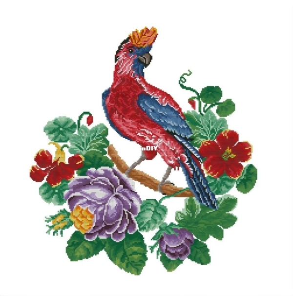 Bird with Crest.jpg