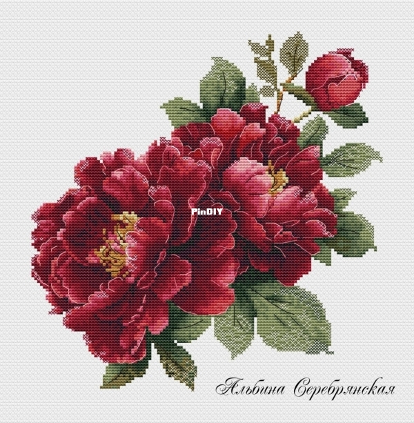 Dark Red Peonies-o.jpg