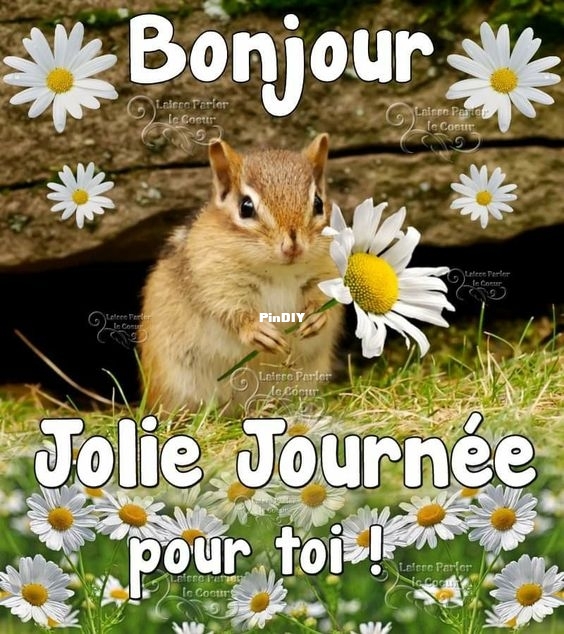 54309d0abfd9b75fc332982b31bf8ab1.jpg