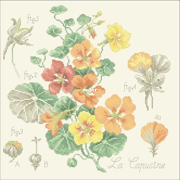 Etude_aux_Capucines.jpg
