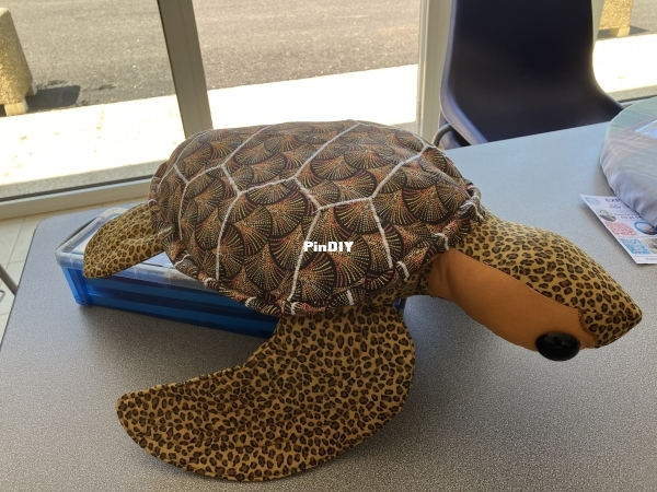 TORTUE JUIN 2026.JPG