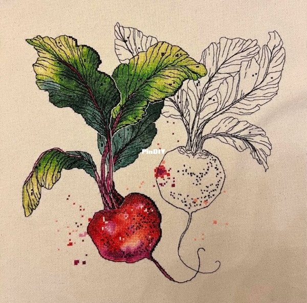 Beetroot by Yulia Zolotova