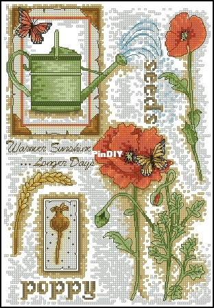 Anchor EPX163 Planting Poppies.jpg