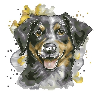 Bernese mountain dog pm.jpg