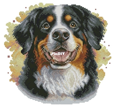 Bernese mountain dog II pm.jpg
