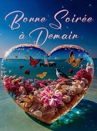 images (8).jpg