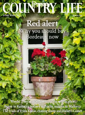 Country-Life-UK-24-June-2026.webp