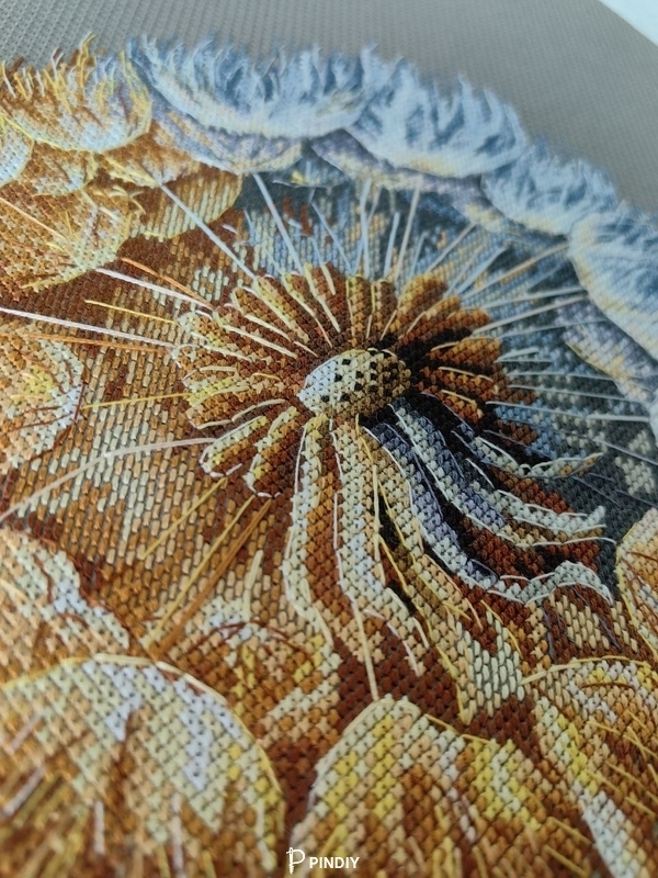 1000033556.jpg