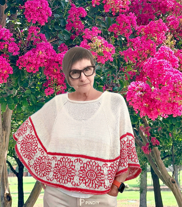 Chrysanthemum Poncho1.jpg