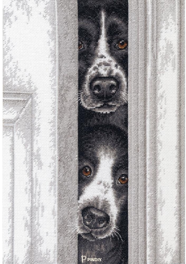 Dim 35400 OK Peeking Pups.jpg